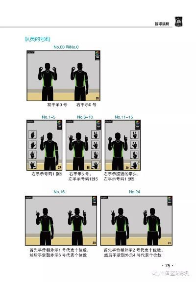 篮球规则大全图解（从基础到高级，带你逐步了解）-第3张图片-www.211178.com_果博福布斯